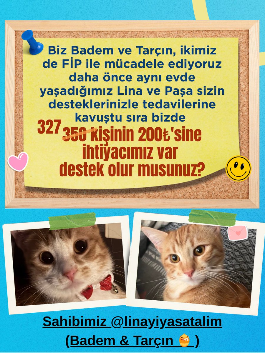 toptopistoprak's tweet photo. Badem ve Tarçın için 327 kişinin 200₺'sine ihtiyacımız var ✨💛
Desteklerinizi rica ederiiizzzz 🙏🏻

Etkileşim için RT ve mentleriniz çok değerli 💖 https://t.co/TwuxF1SRug