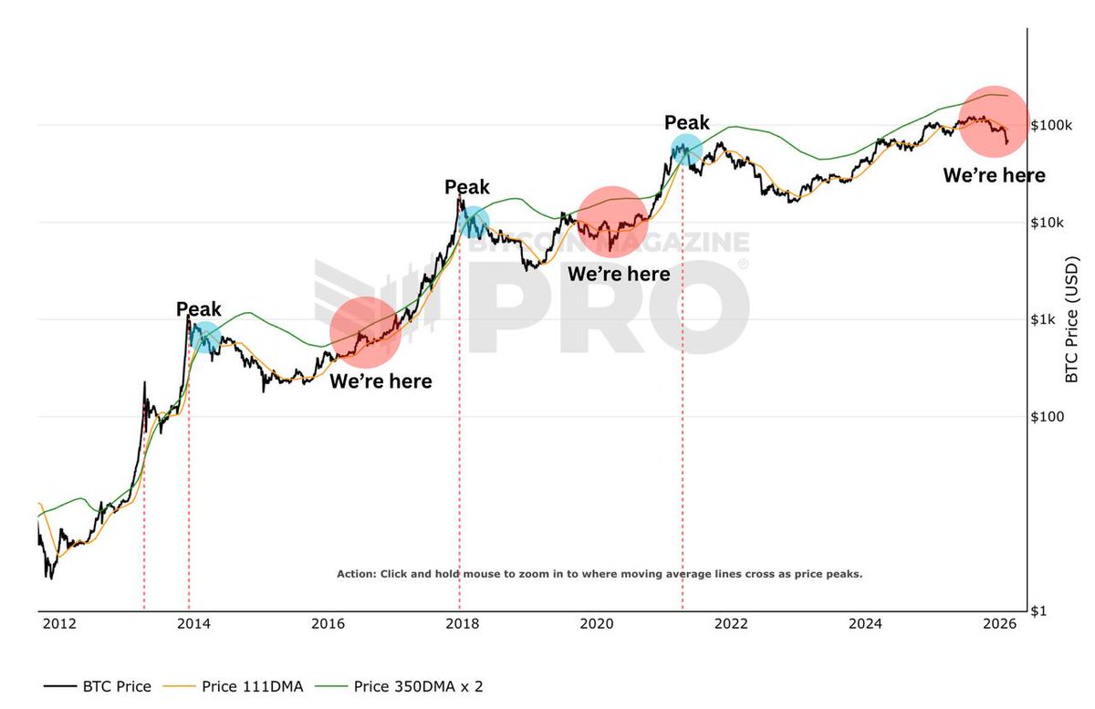CocosBCX tweet media