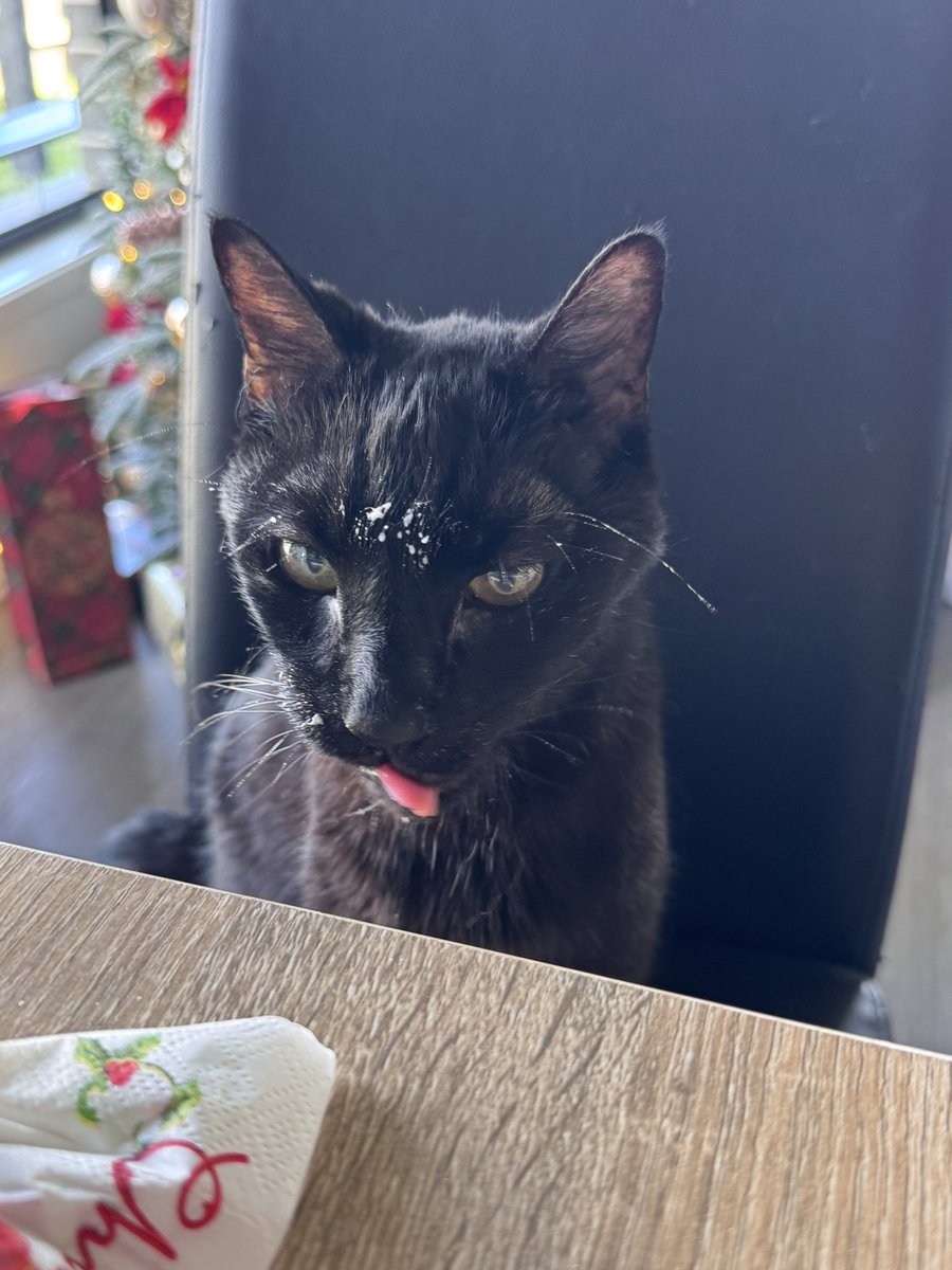 Eleanorsaur tweet media