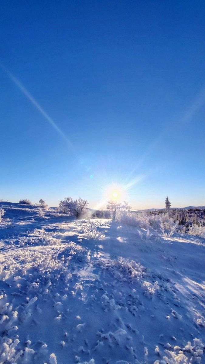 Elche Melanche (@land_helge) on Twitter photo 