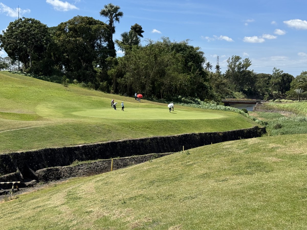 Rex Tattersall tweet media