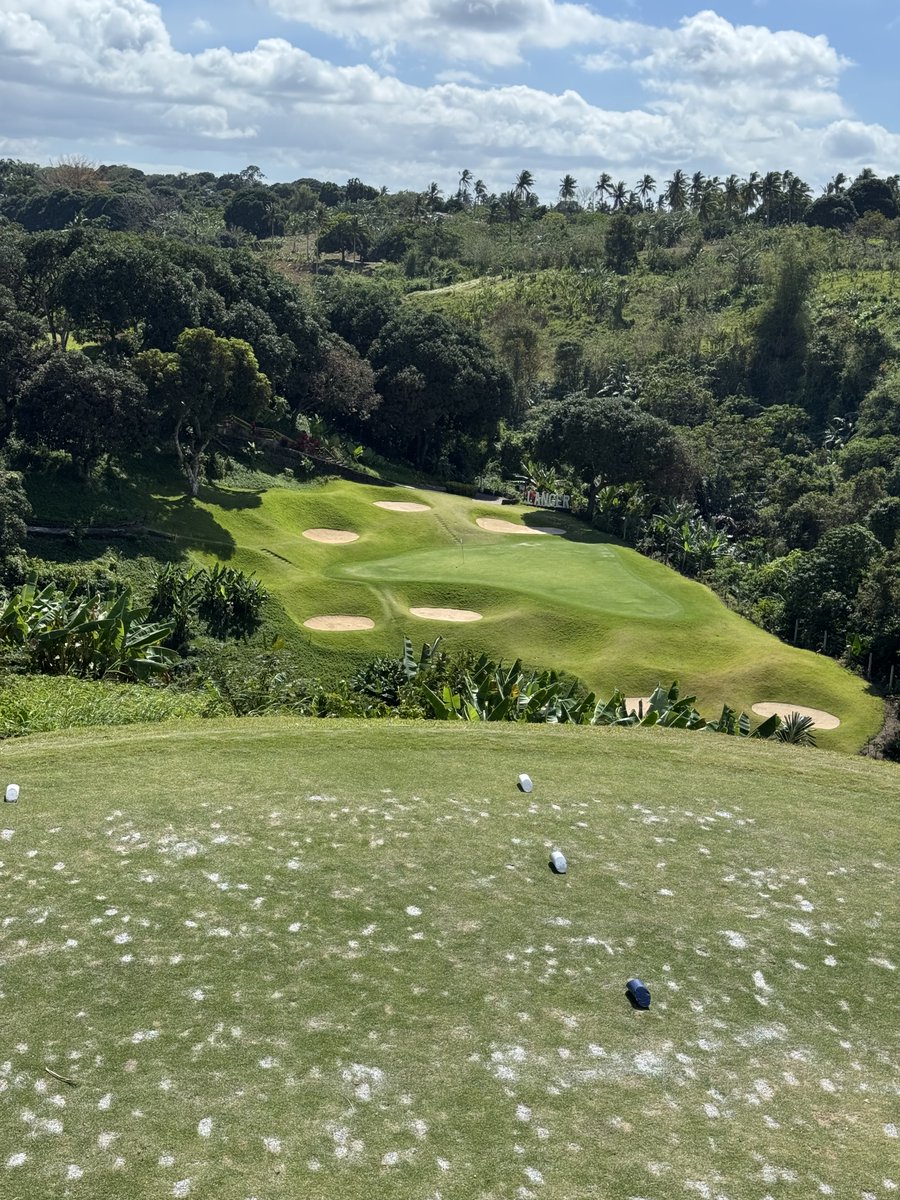 Rex Tattersall tweet media