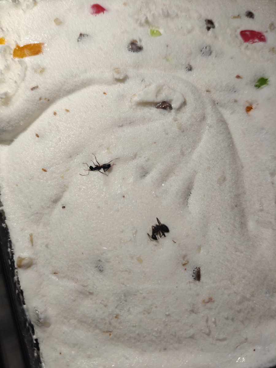 T R Choudhary tweet media