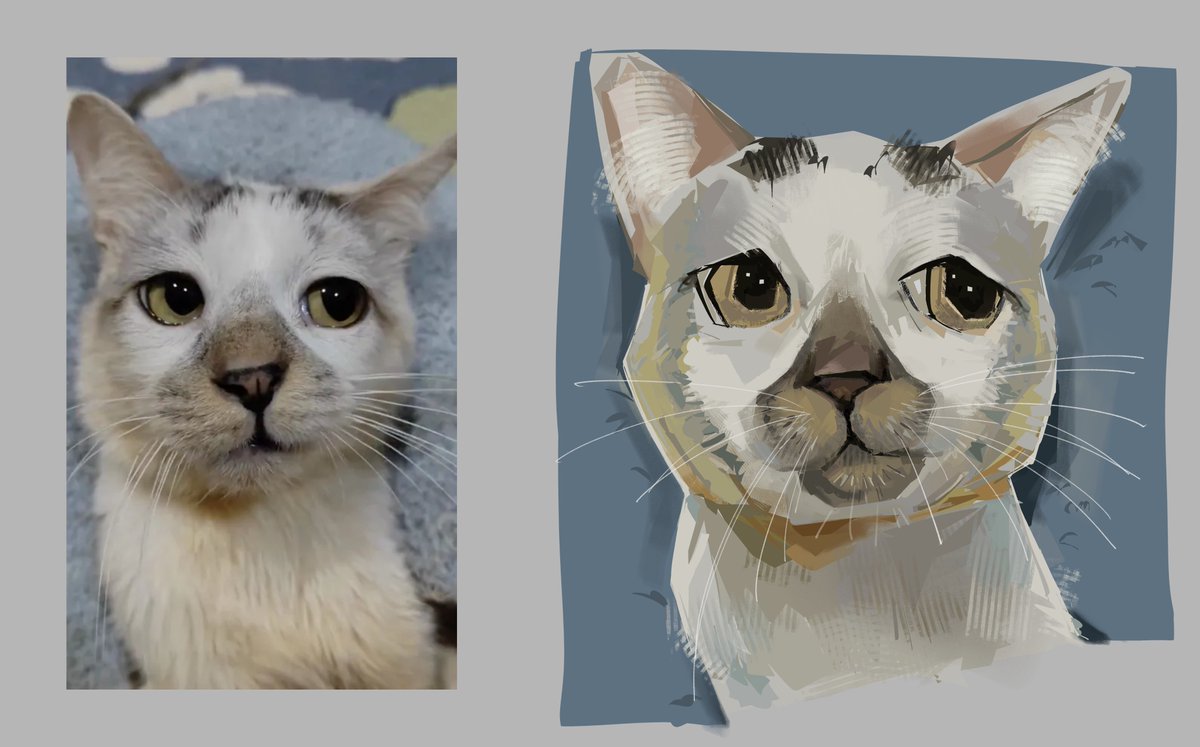 BeaTwoTwoTwoBea's tweet image. really liked this cat, so studied it