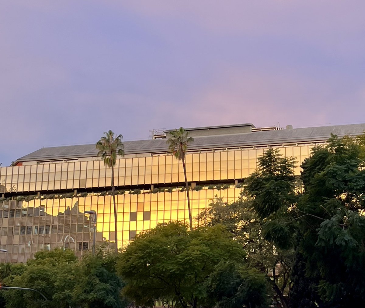 JordiAlterego's tweet image. Feliz miércoles,

La vida es bonita y de ti depende que brille más 🤩

¿Un café?