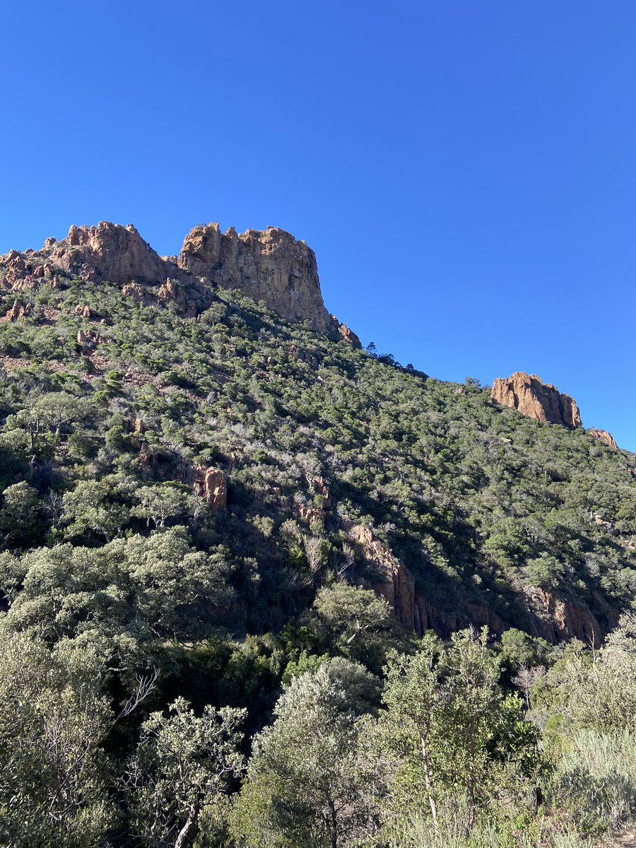 Good Morning Friends