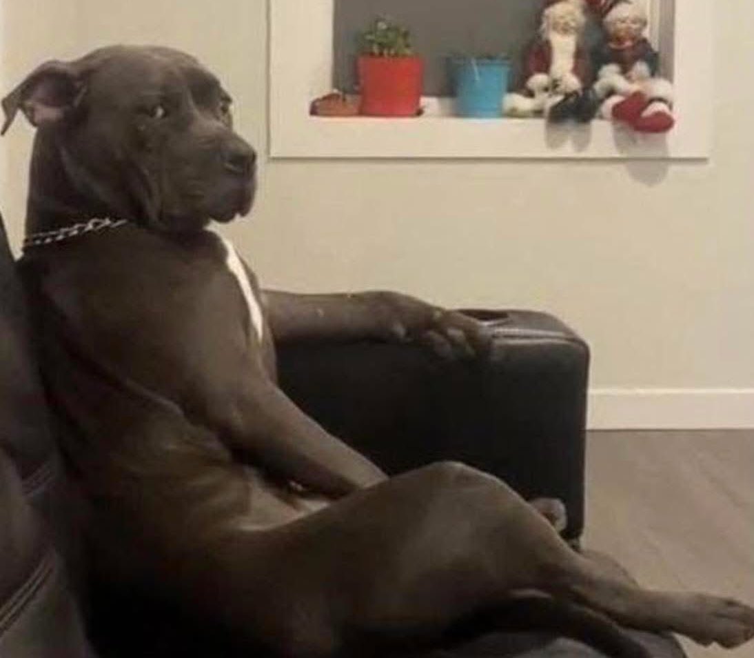 When u both never seen the movie but they asking u questions like u directed the movie