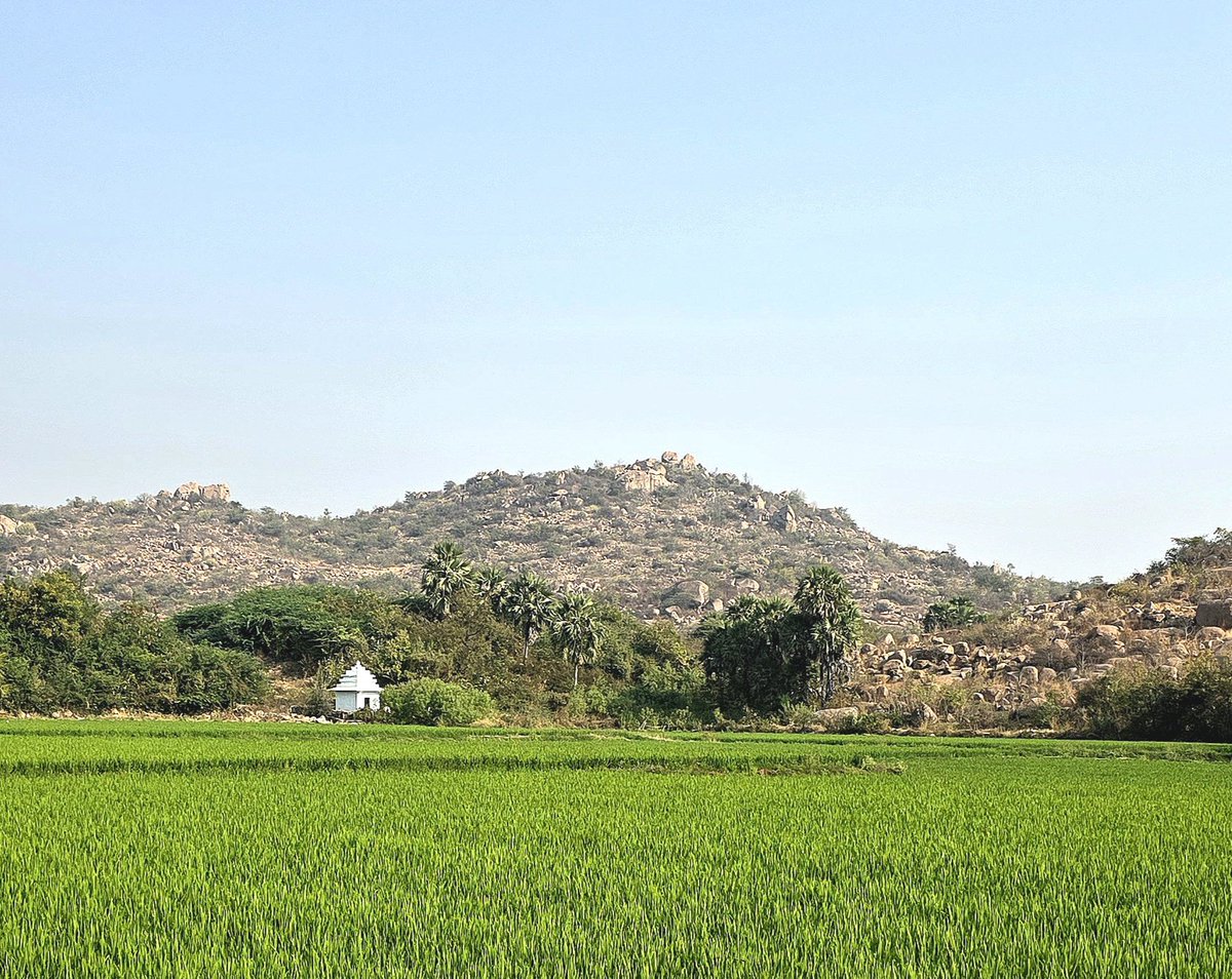 Travels in South India