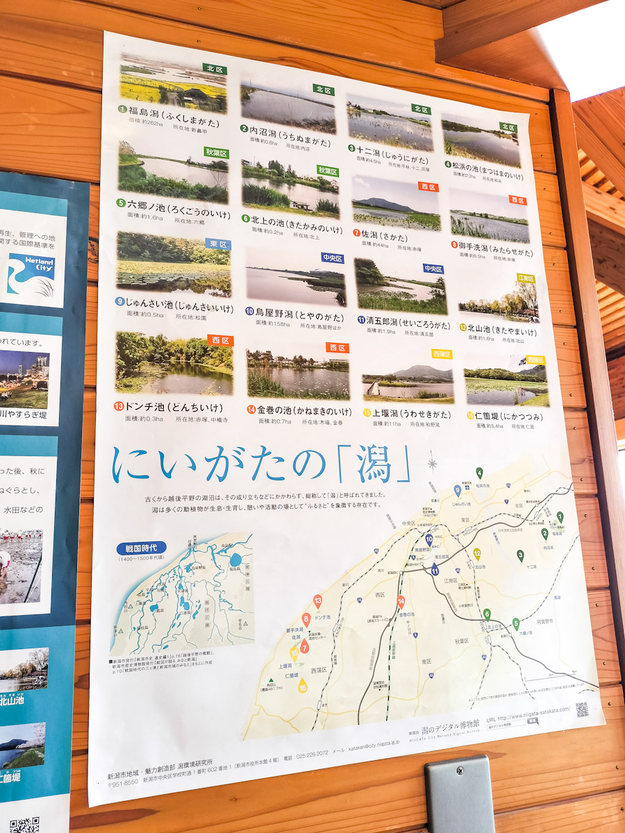 新潟市博物館で江戸時代の新潟の古地図を見たことがあるが、無数の川が