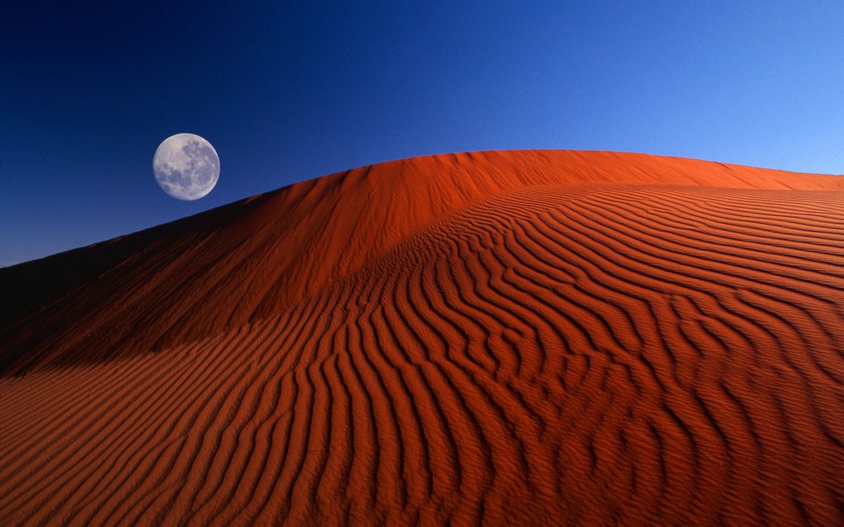 Earth tweet media