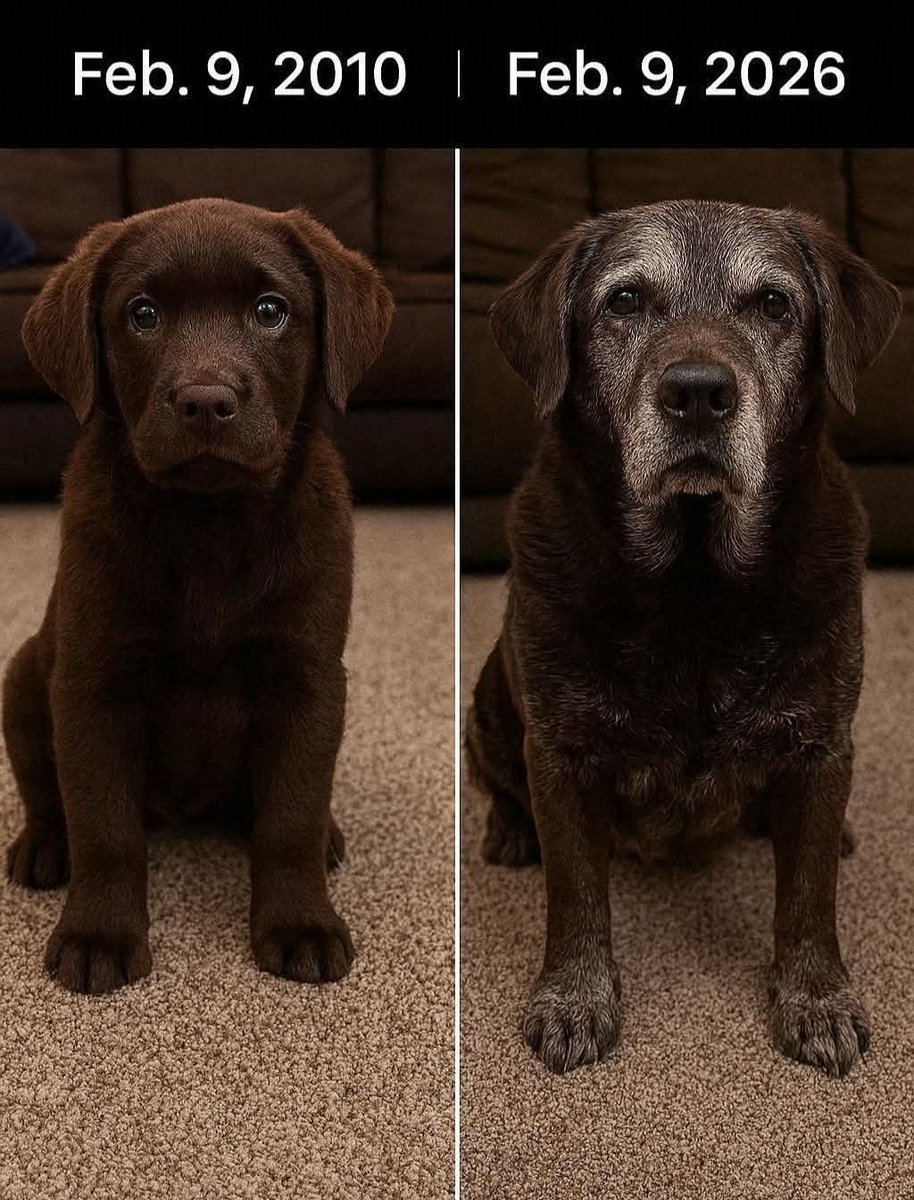 This boy is 16 today. Wish him a good one 🤗❤️