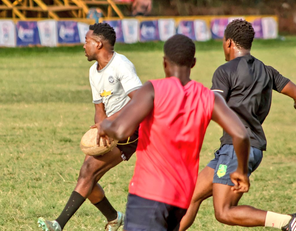 Buffaloes Rugby Club tweet media