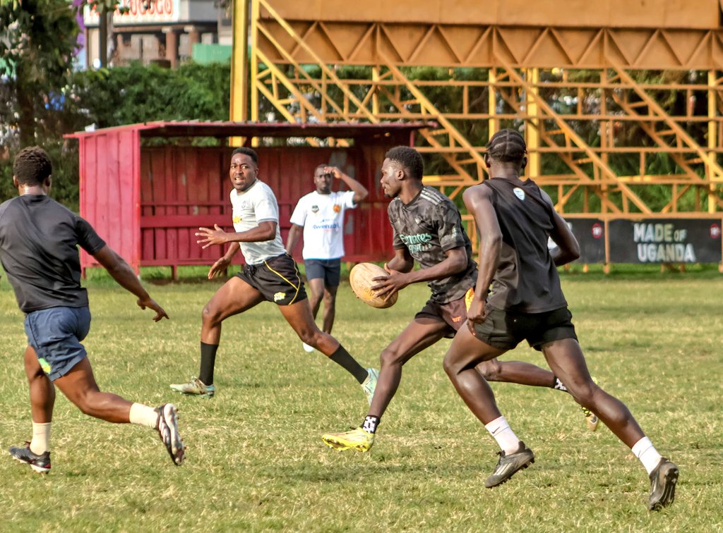 Buffaloes Rugby Club tweet media