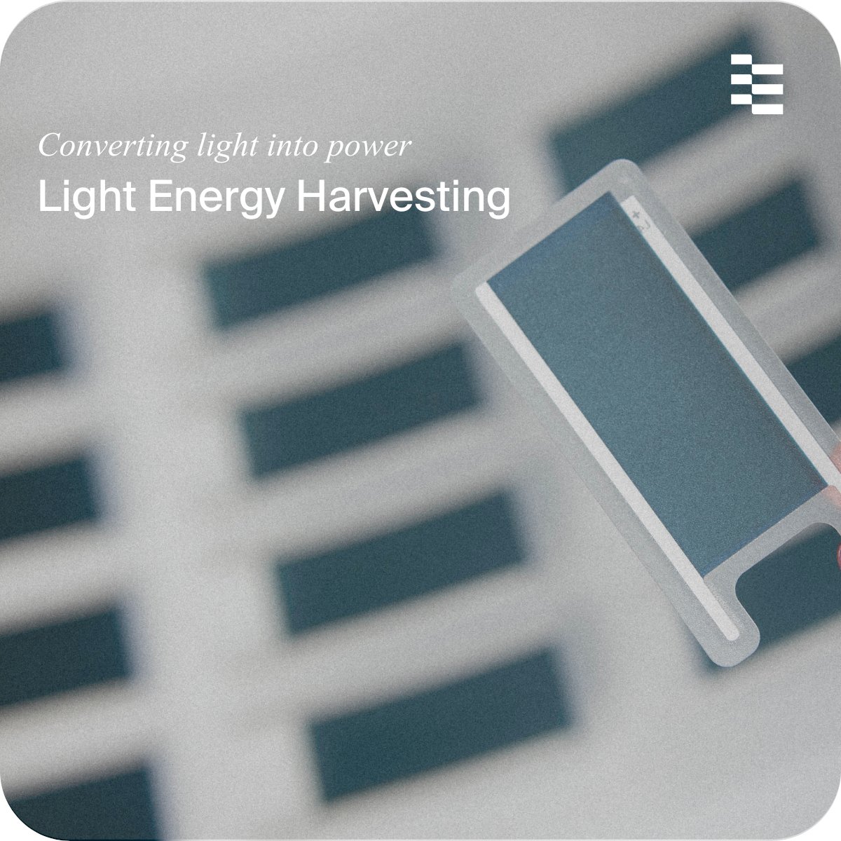 Epishine tweet media