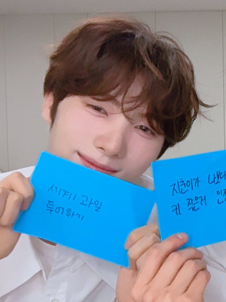 완전 갓태어난 영재 강아디 날이다