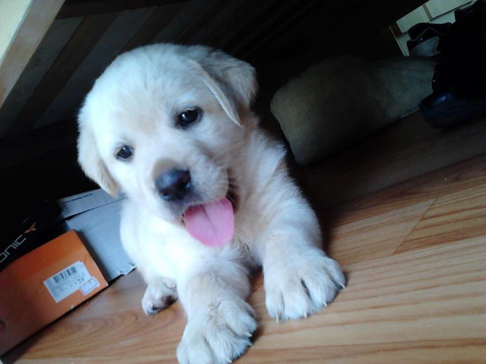 how lucky i am to see myself change and grow