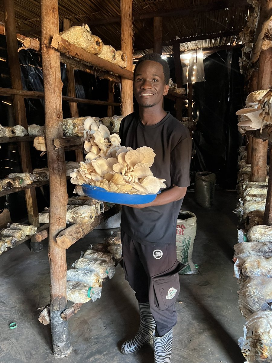 Prime Agribusiness incubation Hub tweet media