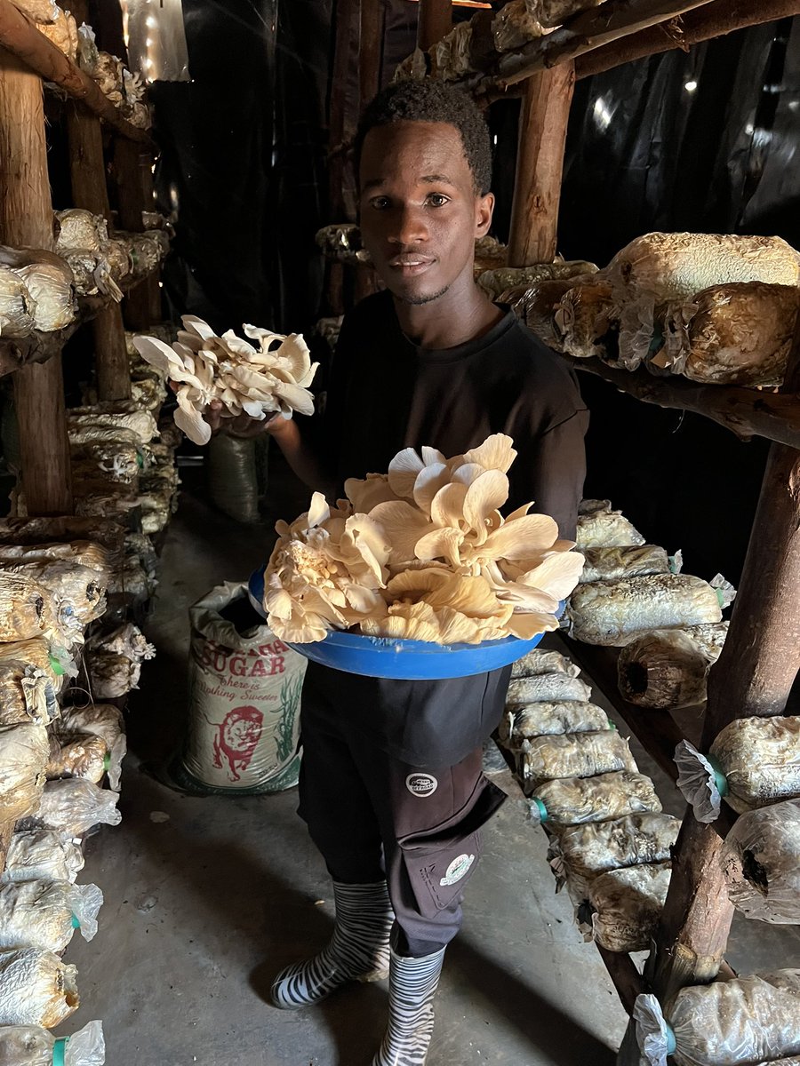 Prime Agribusiness incubation Hub tweet media