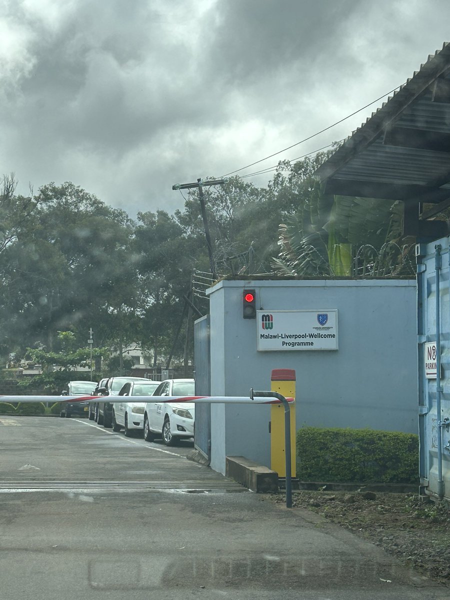 Ifedayo Adetifa tweet media