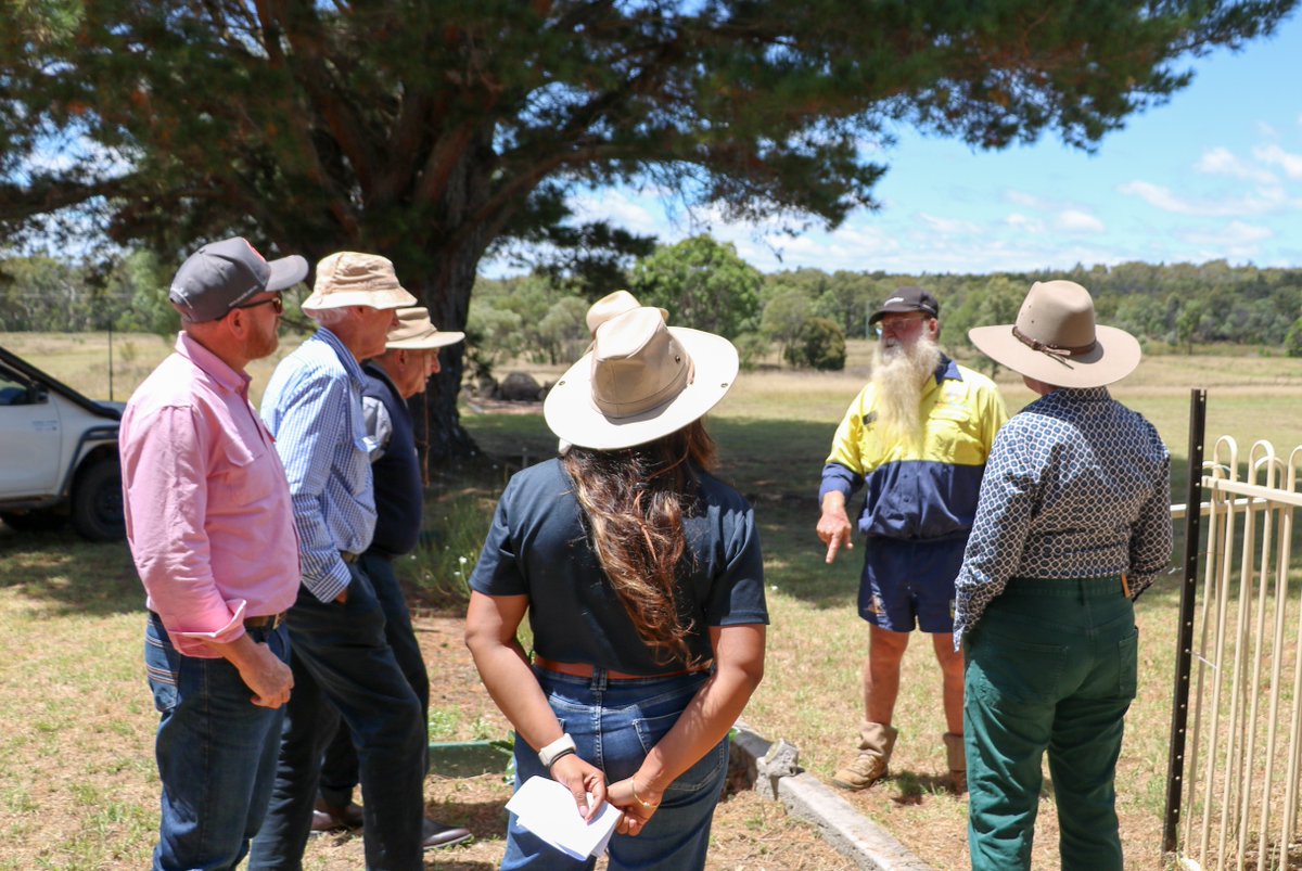 Southern Qld Landscapes tweet media