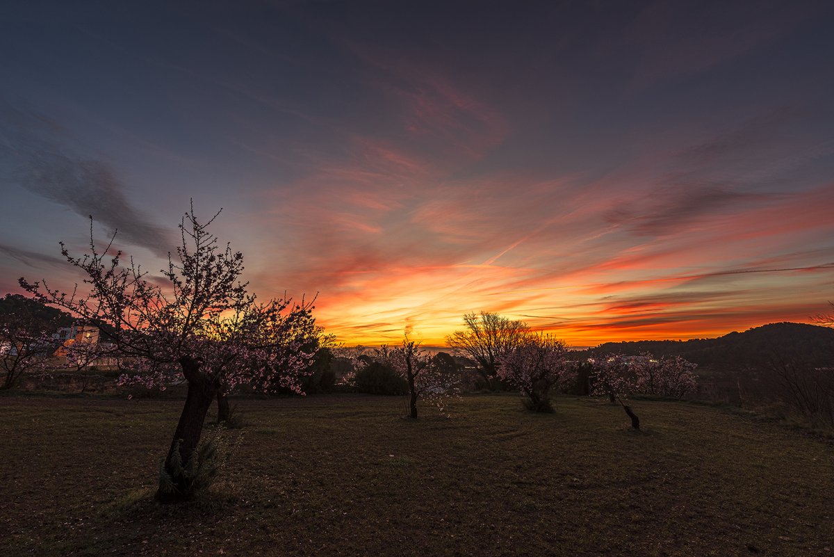 santquintimeteo's tweet photo. Buenos días, espectacular #salidadelsol hoy de nuevo con abundantes nubes altas, mínima de 5.8º. @tiempobrasero @Tiempo_Mercedes @HimarGonzalez @marcredondo @MeteoredES @RosaliaFdz @AEMET_Cat @ame_asociacion @lasextameteo https://t.co/e0nn0TYqnA