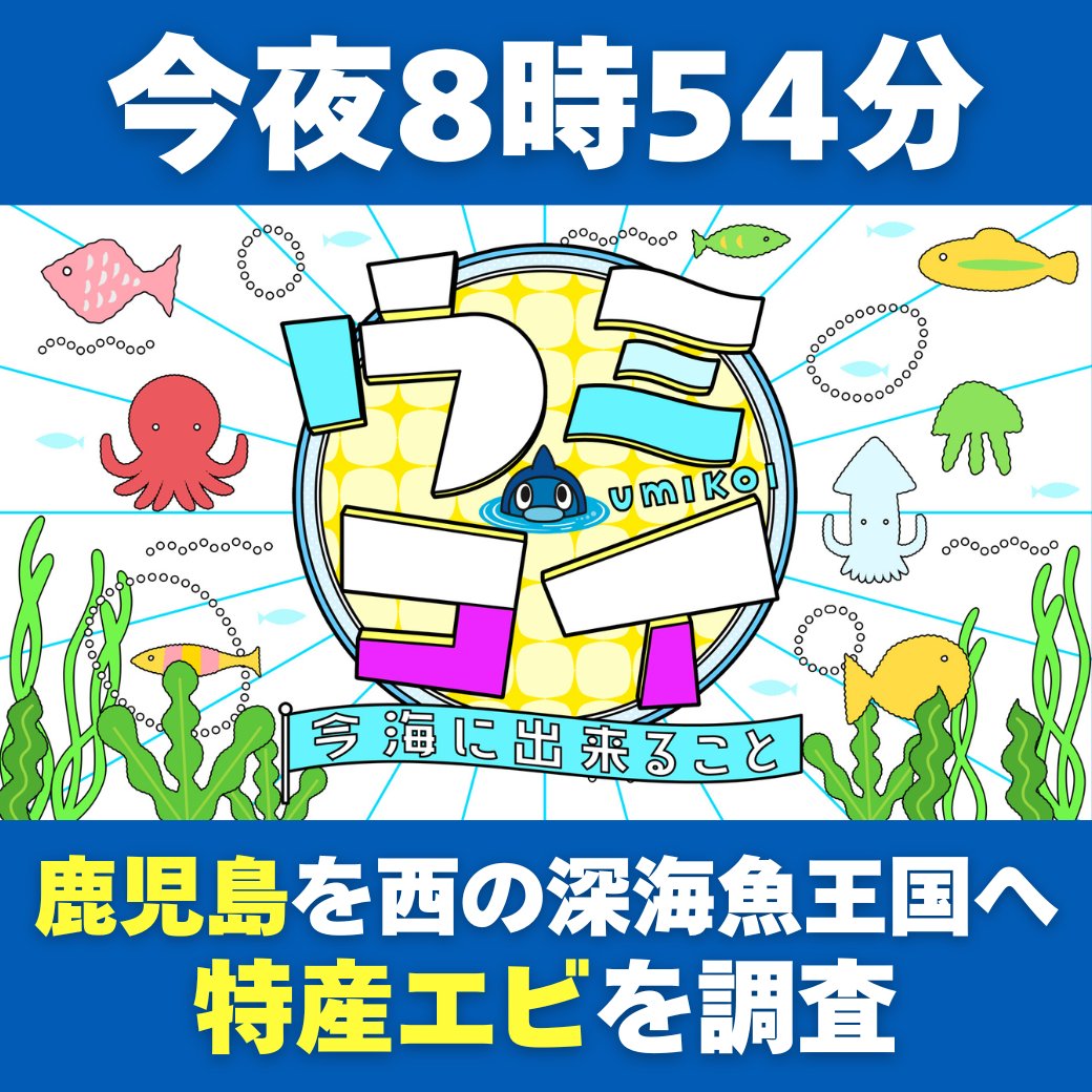 🐟#鹿児島 のウミコイ仲間🐟 📺今夜8時54分 #ウミコイ ー今 海に出来る