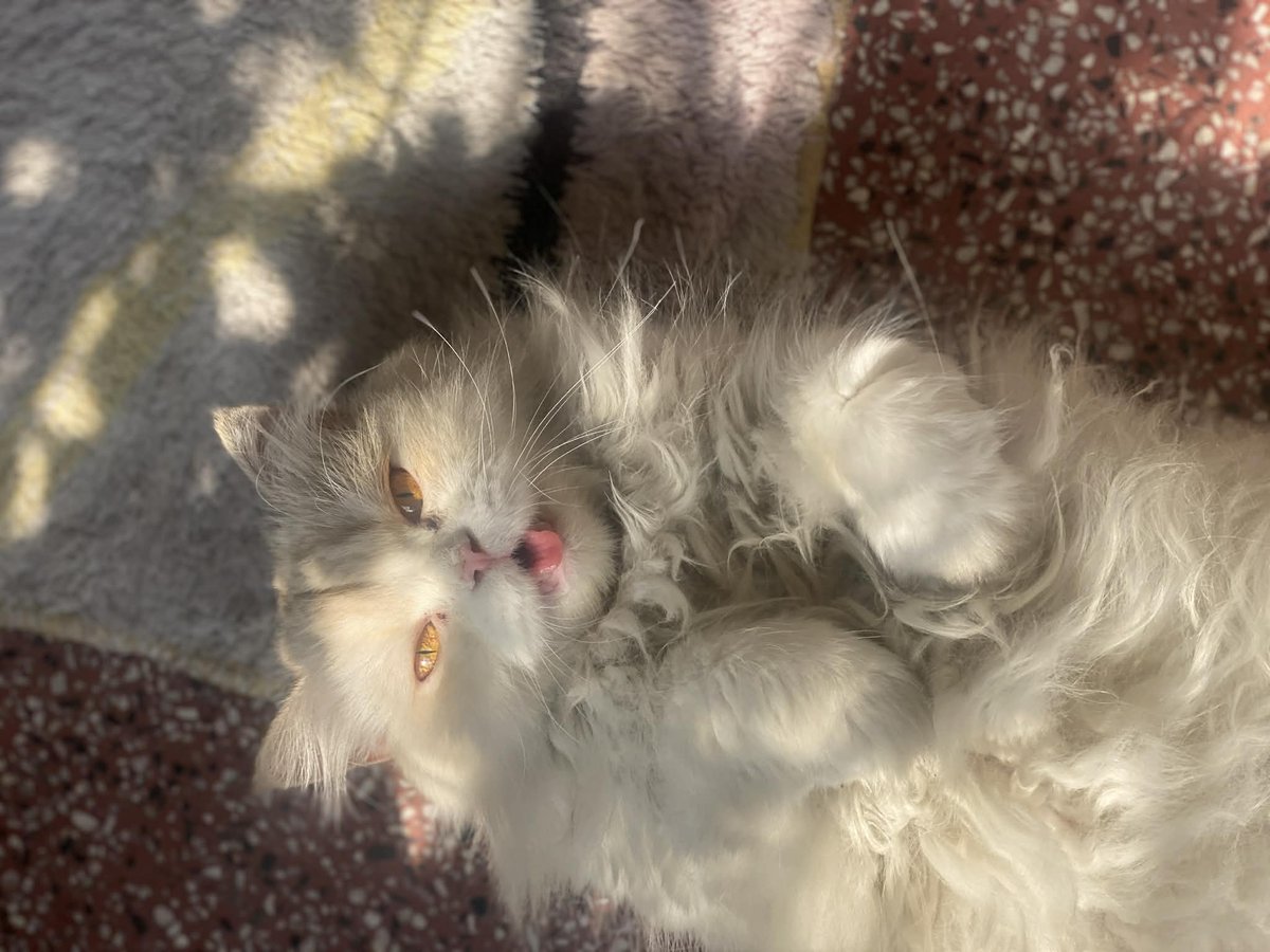 Good morning <a href="/WandrLust_io/">WandrLust🌿Adventure Pays</a> friends , days star $AFK post 🥰
Don't miss out to early join 
rewards.wandrlust.io/loyalty?referr…