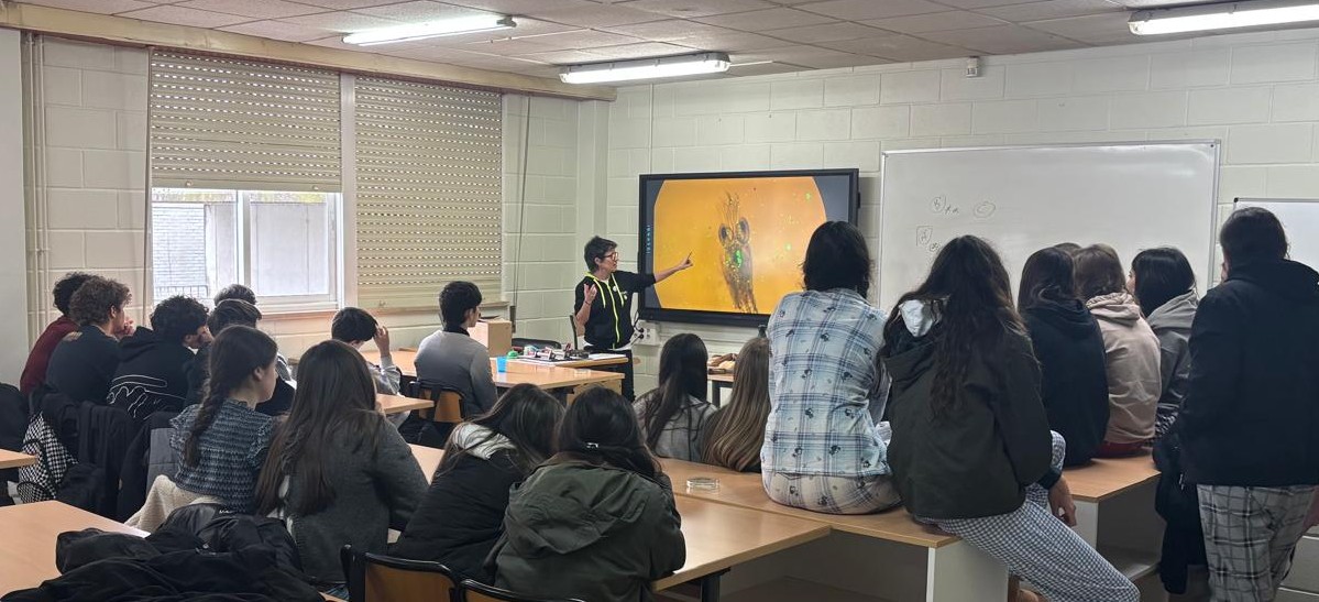 Free LitterAT tweet media