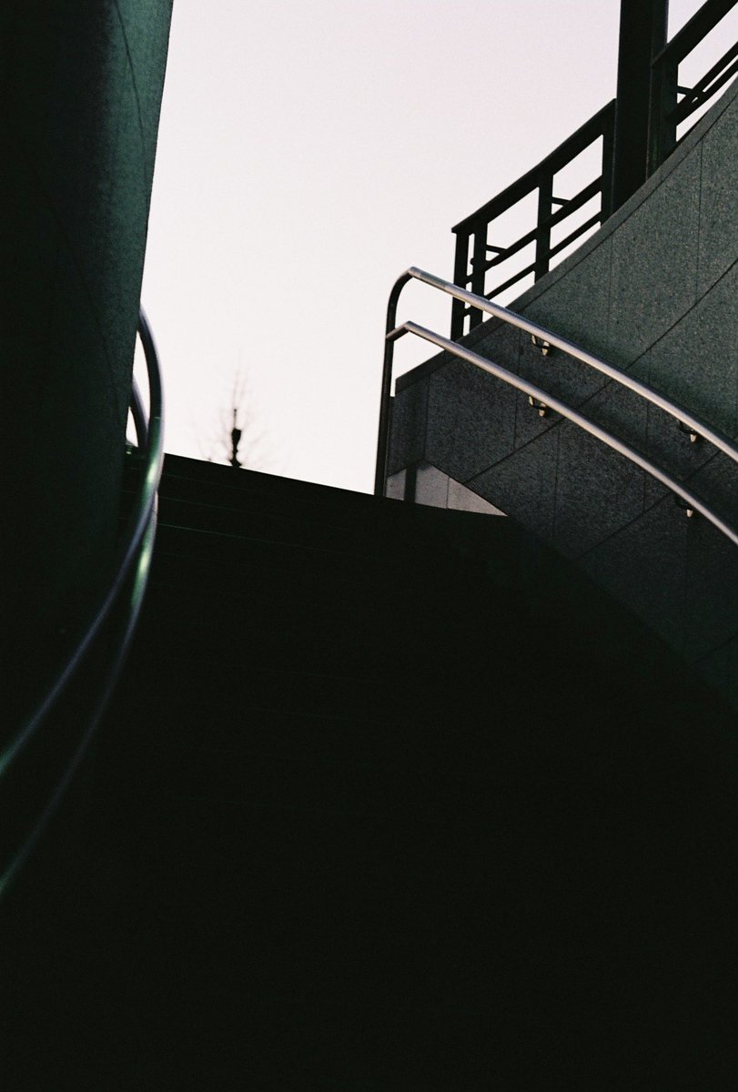 Pond@写真📷️ tweet media