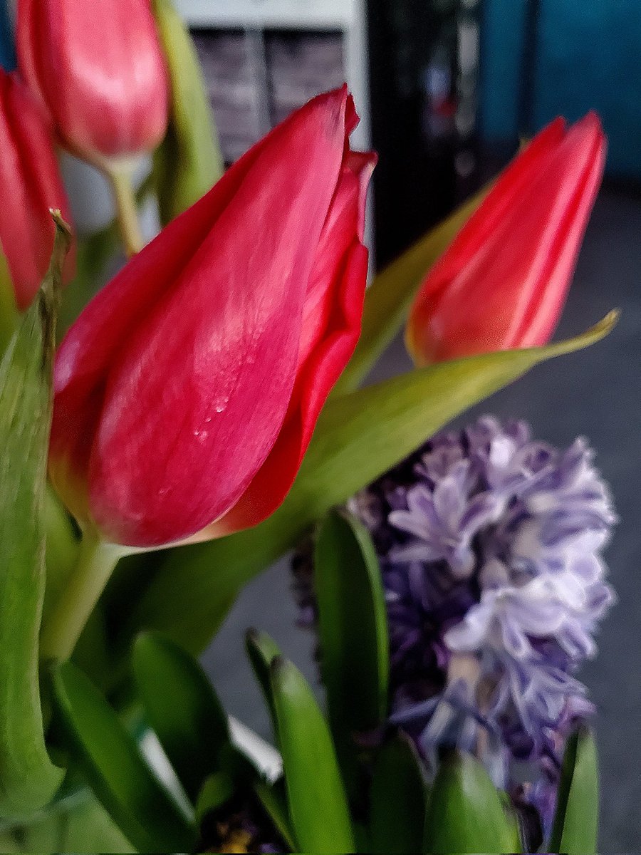 Um 17:47 Uhr eine Bewerbung verschicken, am nächsten Morgen um 7:48 die Absage erhalten. Balsam für die Seele! *Ironie off* 

Mal ernsthaft: Weiß jemand in #München eine offene Stelle als Managementassistenz? Gern RT.

Guten Morgen ☕️