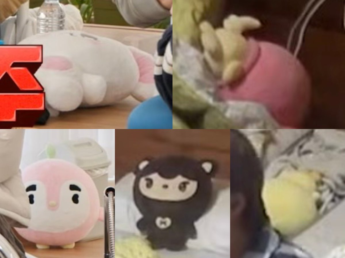 엑소님들 본인 인형 하나씩 들고 같이 여행함
코트니 열댕이 핑귀니 니니베어 오아리..