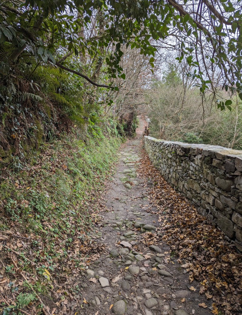 Buongiorno 🌹 

È tempo di digiunare, di alleggerire il nostro cuore da attaccamenti e aspirazioni  inutili.

Questi quaranta giorni sono un tempo di grazia, donatoci per ripulirci, rigenerarci, ri-amarci e riacquistare la gratitudine per questo dono grande della vita da vivere