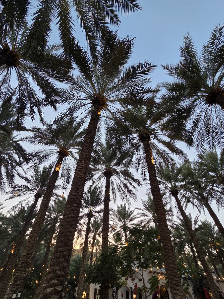 د. أحمد بن حمد العمير tweet media