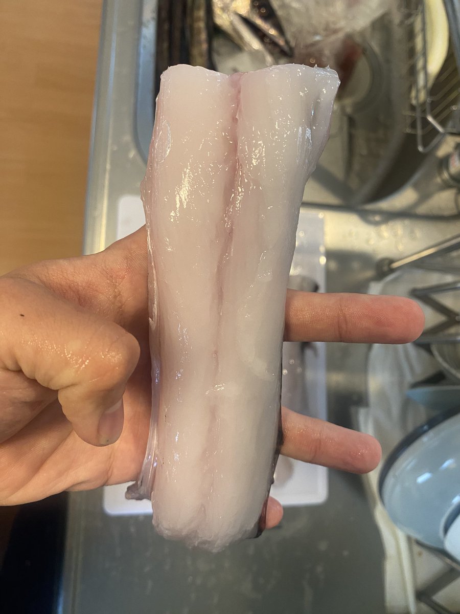 tokyoensis's tweet photo. ミズウオの下処理完了😆
あとは一日待機👍見た目は美味しそうなんだけどなぁ😅 https://t.co/F7BHBCutKb