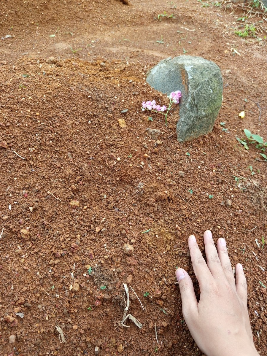 naaddyaas's tweet photo. our first ramadhan without you (embah) 💔🥀 

ilalliqo' di dikehidupan selanjutnya ya embahku sayang.. https://t.co/puiVBBTtdz