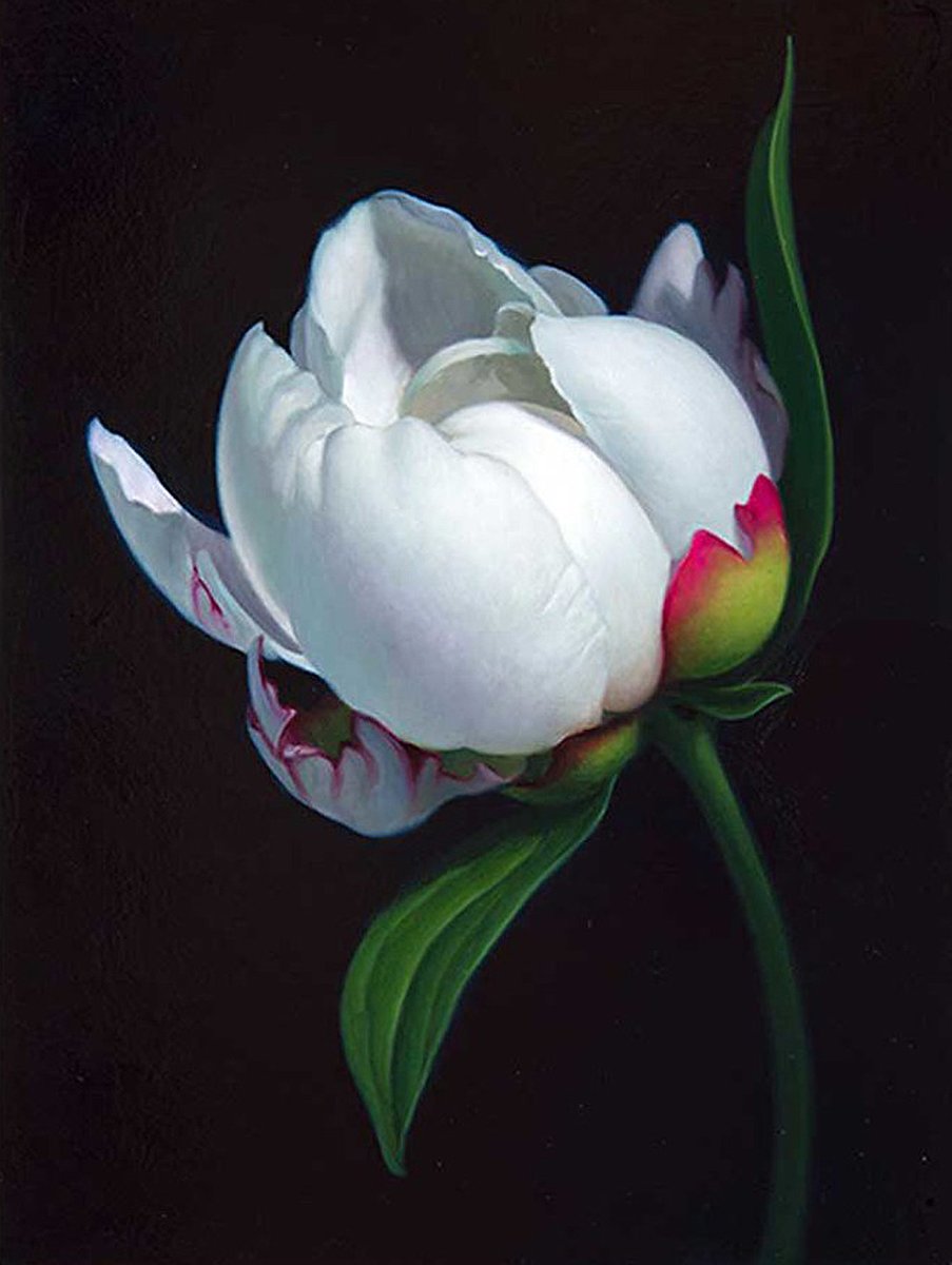 Bon dia! <a href="/ulls_lluents/">Ulls lluents</a>