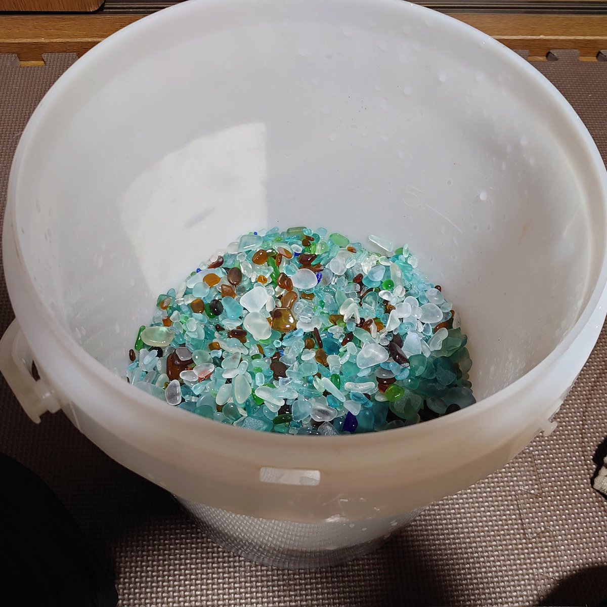 シーグラス大漁❗️
バケツごと秤に乗せたら５kgもあった😅
腰がぶっ壊れました。

#ビーチコーミング #シーグラス