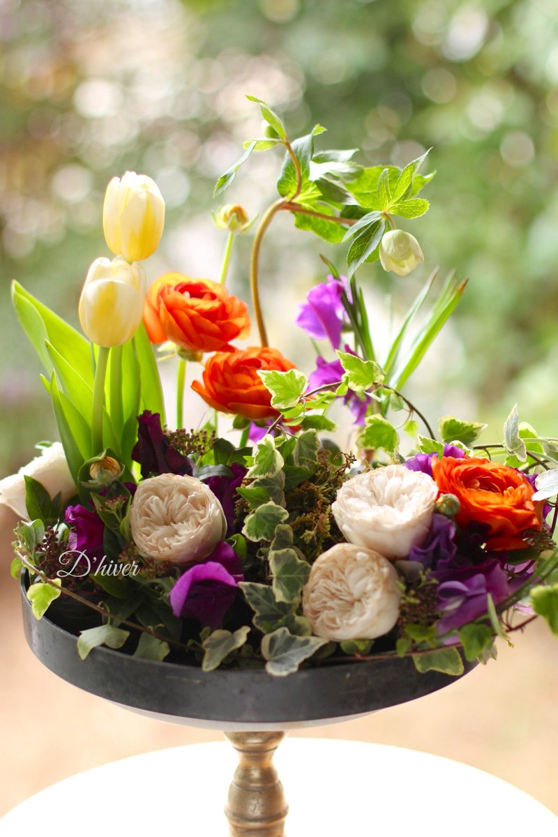 Dhiver_fleur's tweet photo. 毎日文化センター2月の「パリのお花屋さん講座」では、球根花で春の庭をイメージして作りました。ラナンキュラス、ヒヤシンス、チューリップ、クロッカス、クリスマスローズ，スイトピー、バラ、ガマズミ、苔 https://t.co/vjUp0KwrRb