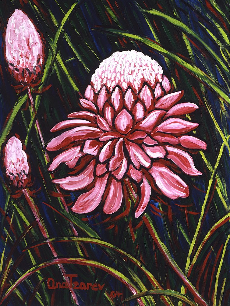 AnaTzarev's tweet photo. "As my mother gave me Birth – so I give Birth to my children – my works of Art!" ~Ana Tzarev~
Honolulu Torch Ginger, 122 x 91 cm, acrylic on linen, 2004
#Hawaii #torchginger #AnaTzarev #flowers #acrylicpainting #painting #nature #fineart #contemporaryart #artecontemporraneo https://t.co/P98G0p92Jq