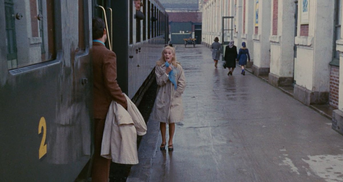 godard me empodera tweet media