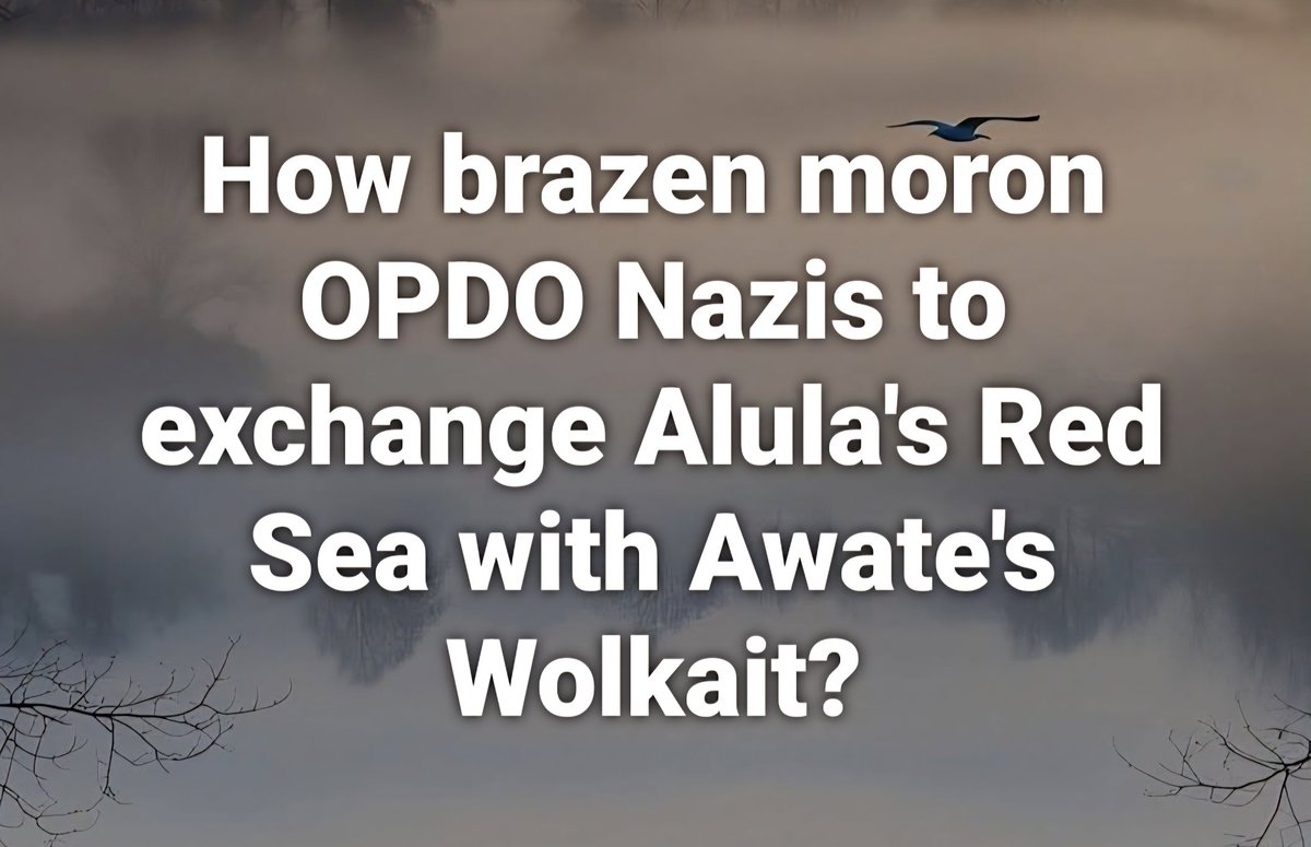 LemlemTigest's tweet image. How #brazen #moron #OPDO #Nazis to #exchange #Alula's #Red #Sea with #Awate's #Wolkait?