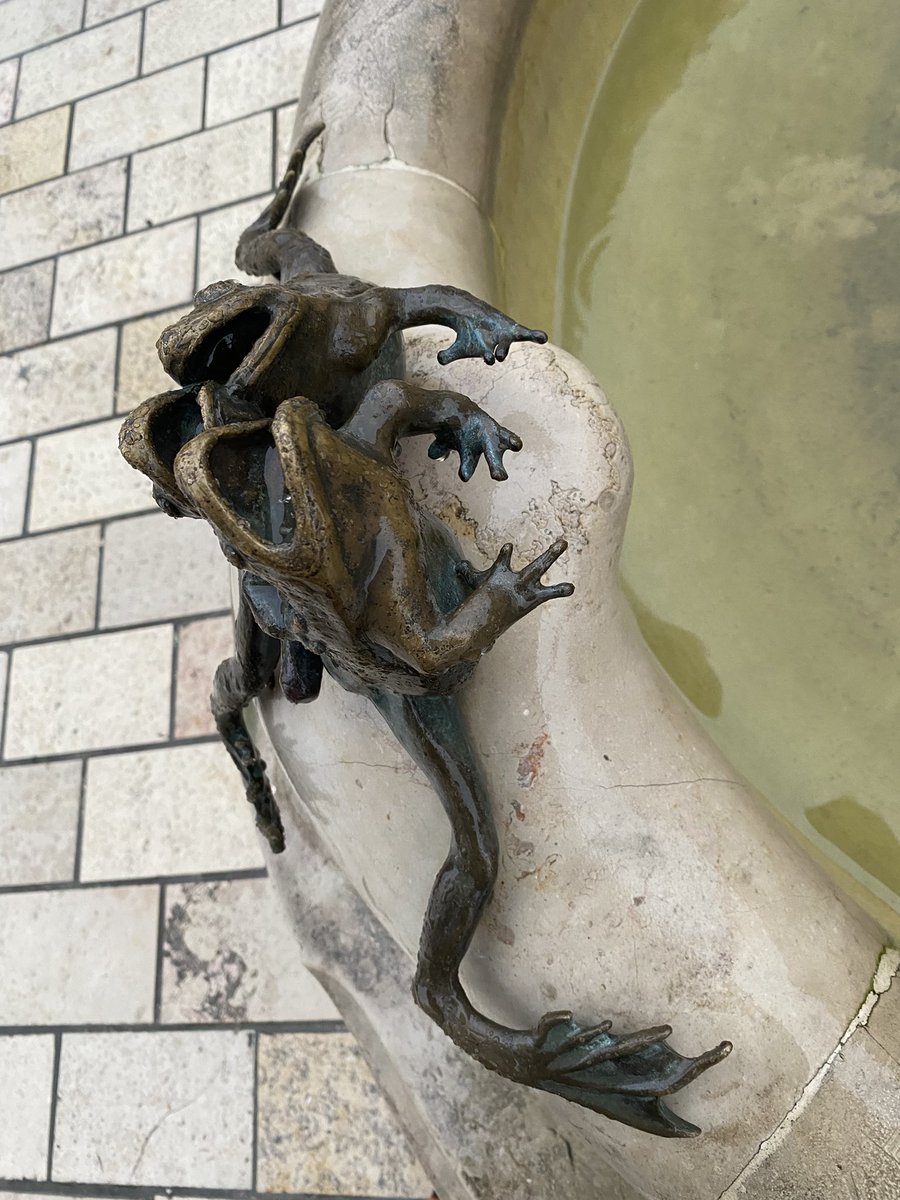 G27Marco's tweet image. Quelques indices animaliers pour vous signifier où nous séjournons qq jours ! #tourisme #voyage #amis