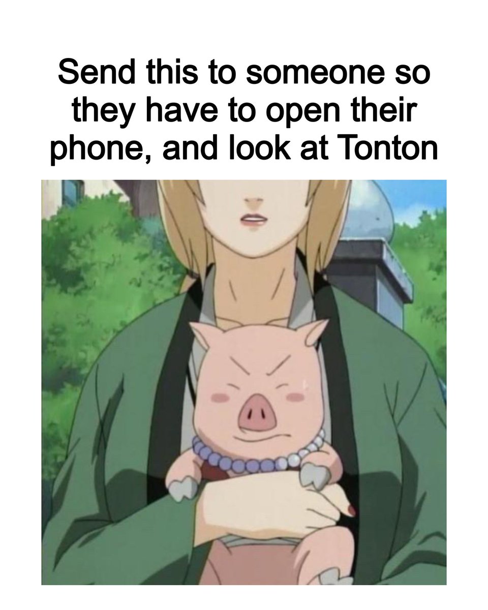 Lady Tsunade and Tonton 🐷