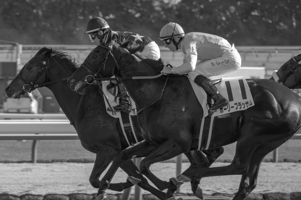 tsukougei's tweet photo. NIKKOR Z 28-400mm f/4-8 VR ×  Z6III         
#Nikon #Z6III #z6iii #Z63 #私とニコンで見た世界 #京都競馬 #モノクロ　#monochrome https://t.co/auoxmNDlW9