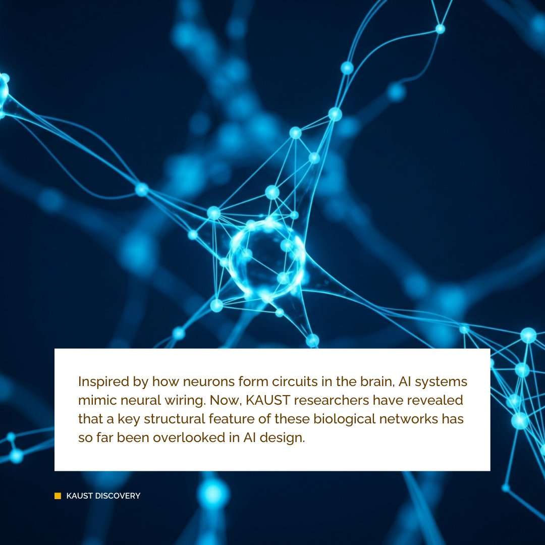 KAUST BESE tweet media