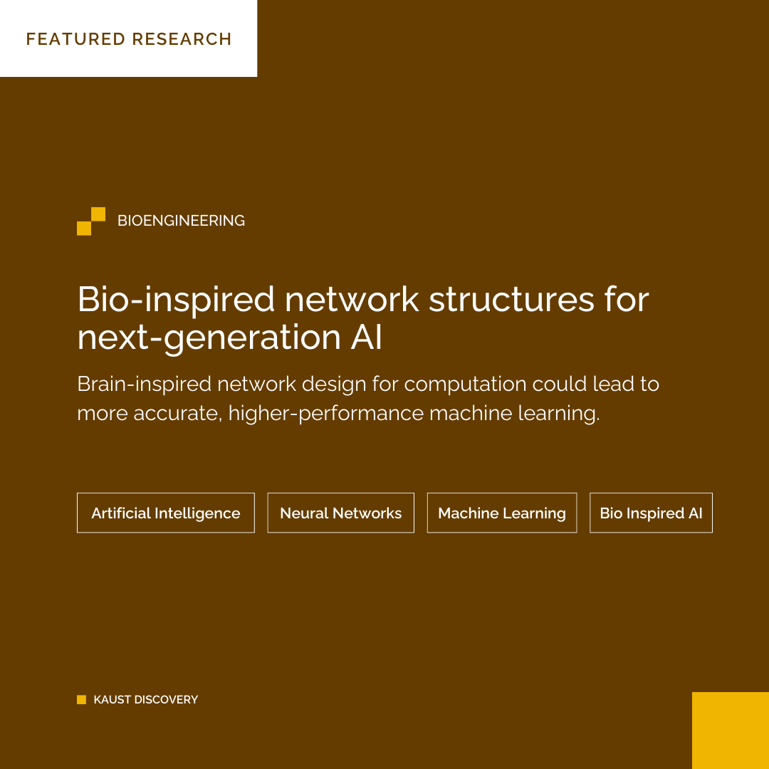 KAUST BESE tweet media