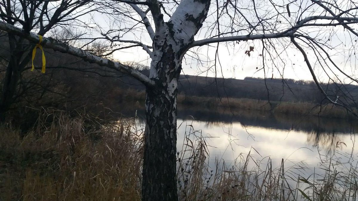 Donbas despite occupation know that their home is Ukraine