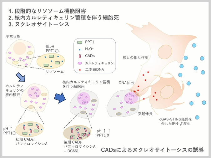 東京大学医科学研究所 tweet media