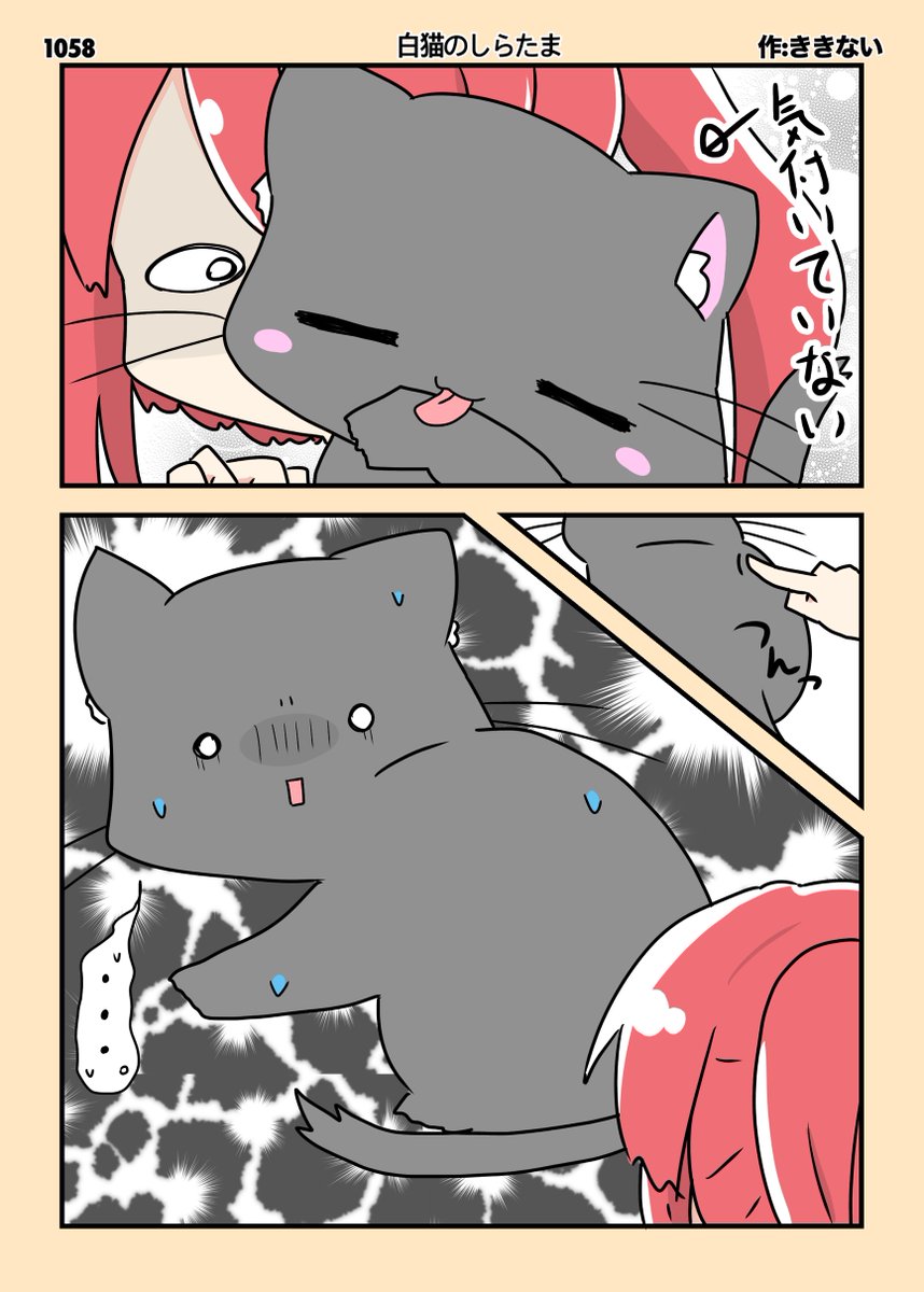 タイトル 〈あんこはビックリしている！〉 毎日イラスト投稿継続日数