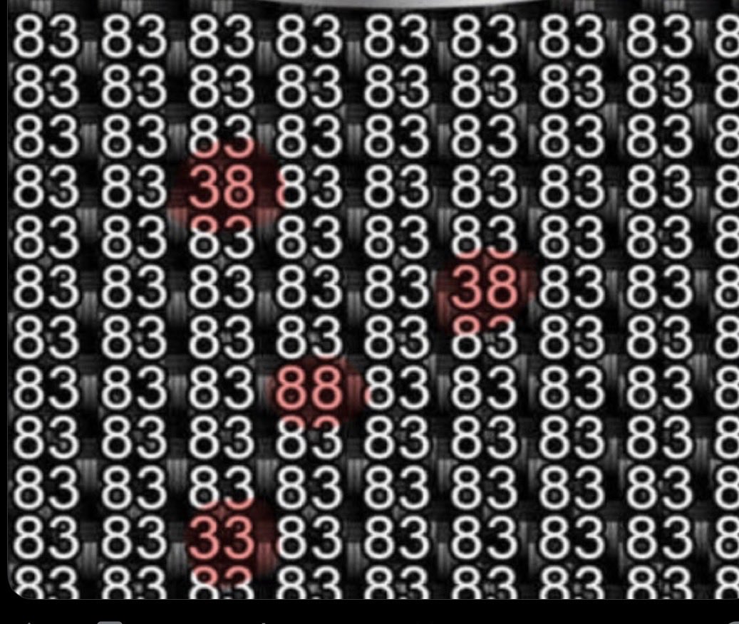 مربط أصايل الفوهة للخيل العربية الأصيلة tweet media